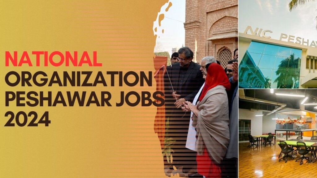 National Organization Peshawar Jobs 2024 