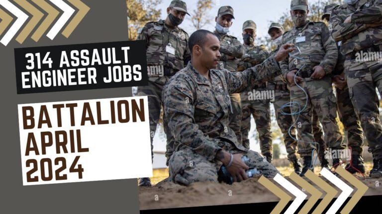 Army of Pakistan 314 Assault Engineer Jobs Battalion April 2024 in Multan